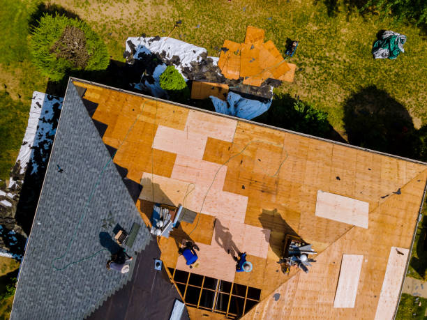 Roof Gutter Cleaning in Elsmere, KY